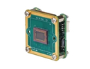 Product Image Of DFM 36CX290-ML